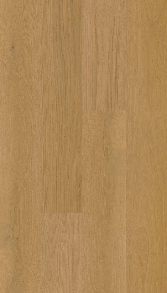 Clap Zero Danubio Doga classica 1830x228x6,5 mm - Déco, immagine 1
