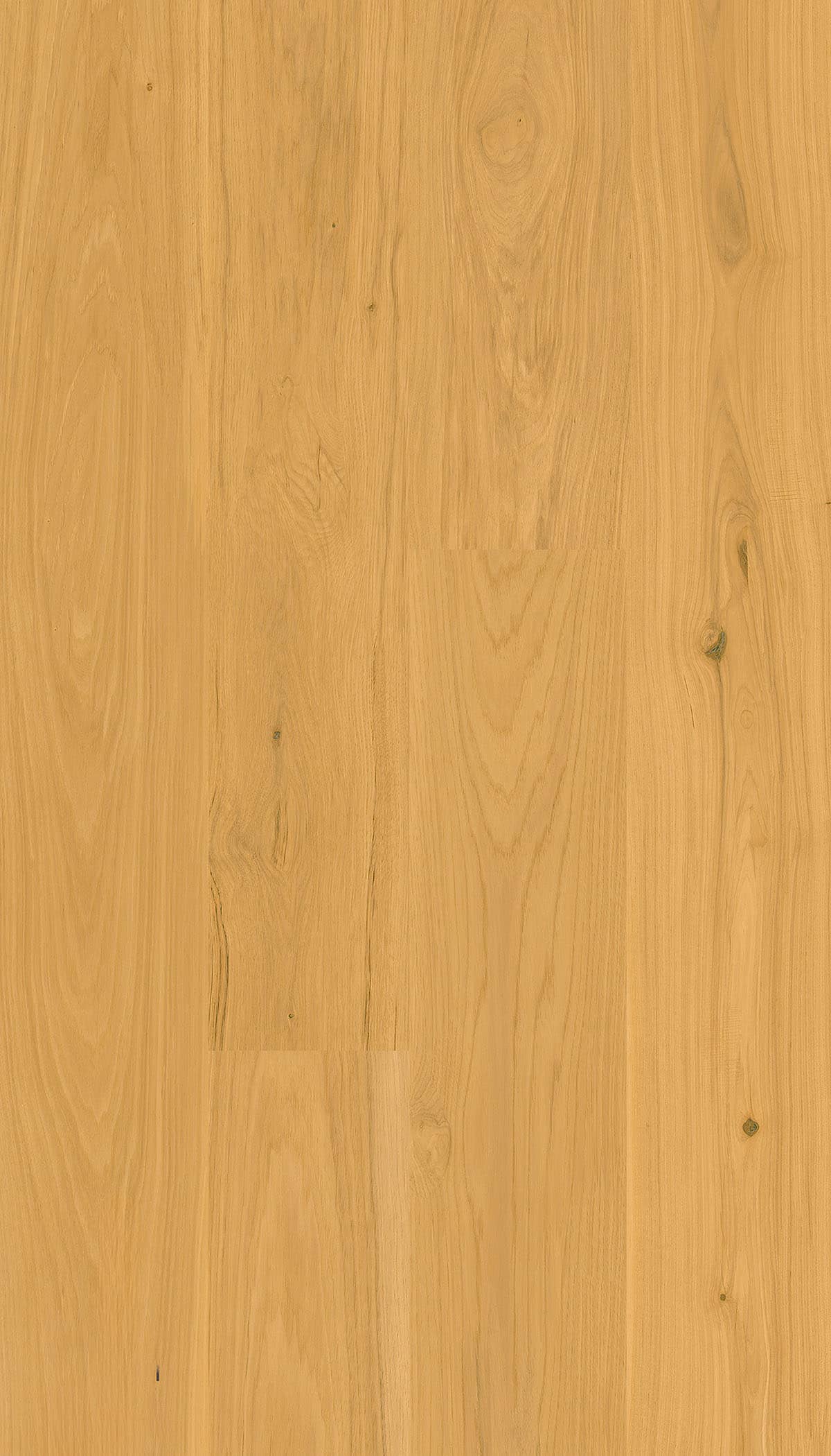 Clap Zero Tigri Doga classica 1830x228x6,5 mm - Déco, immagine 1