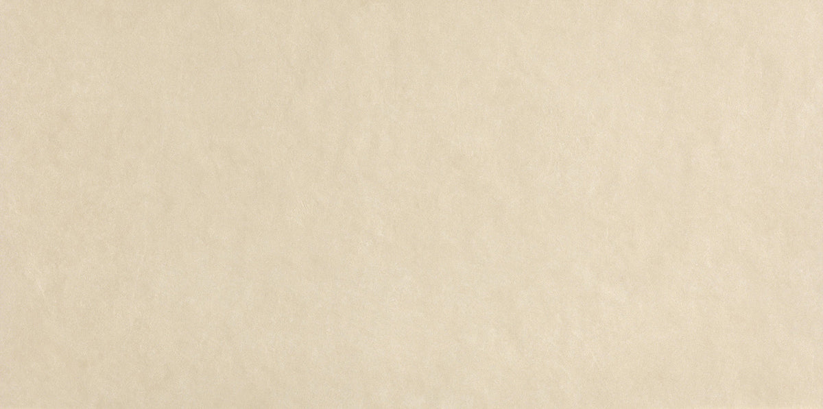 FAP Sheer Beige 80x160 Matt