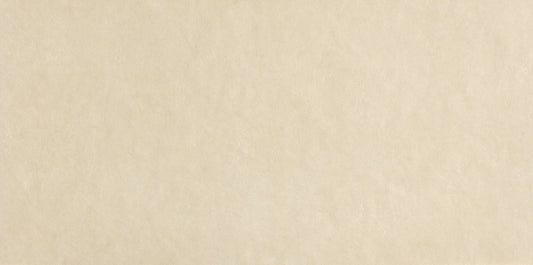FAP Sheer Beige 80x160 Matt