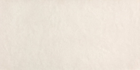 FAP Sheer White 80x160 Matt
