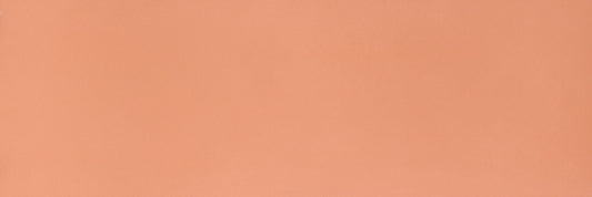 FAP Oltre Il Colore Corallo 30.5x91.5 Matt