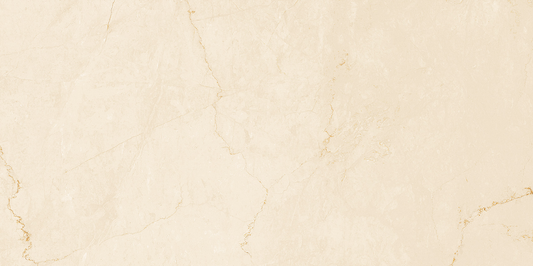 FAP Desert Beige 60x120 Matt True Touch R9