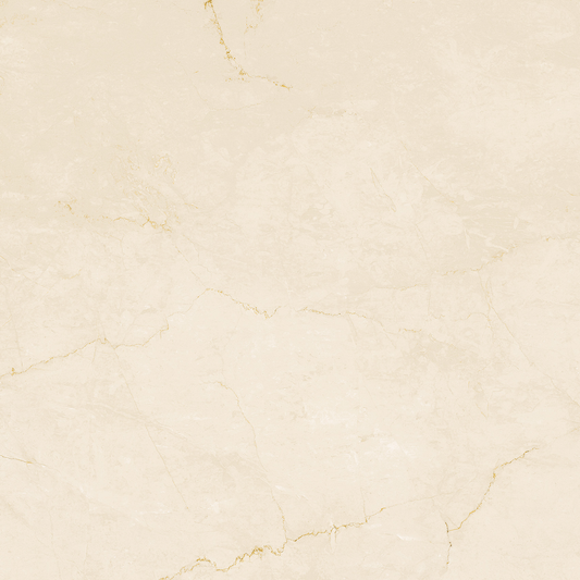 FAP Desert Beige 120x120 Matt True Touch R9