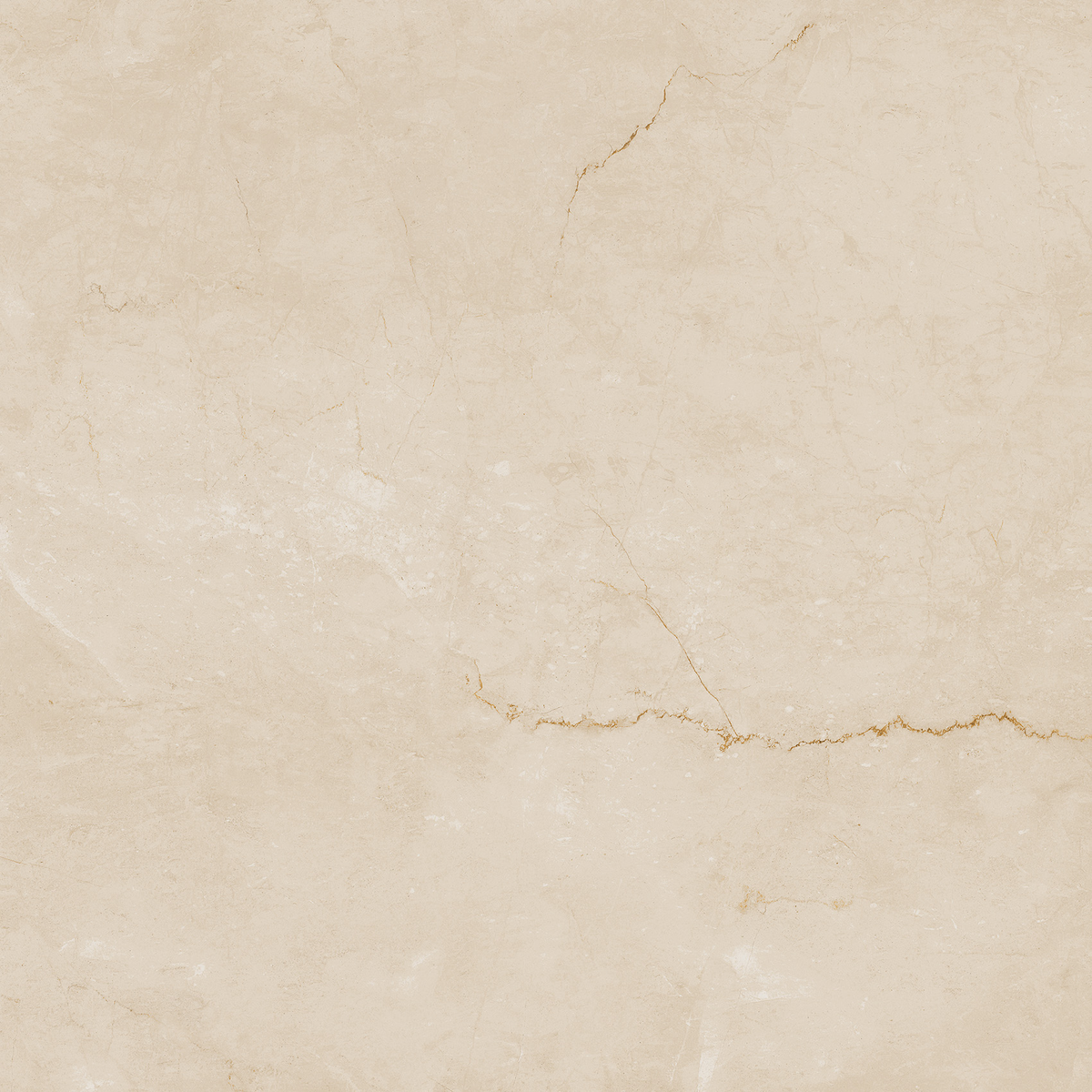 FAP Desert Tortora 120x120 Matt True Touch R9