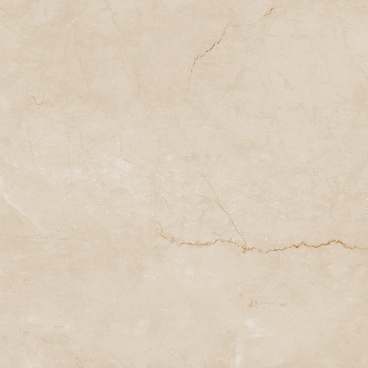 FAP Desert Tortora 120x120 Matt True Touch R9