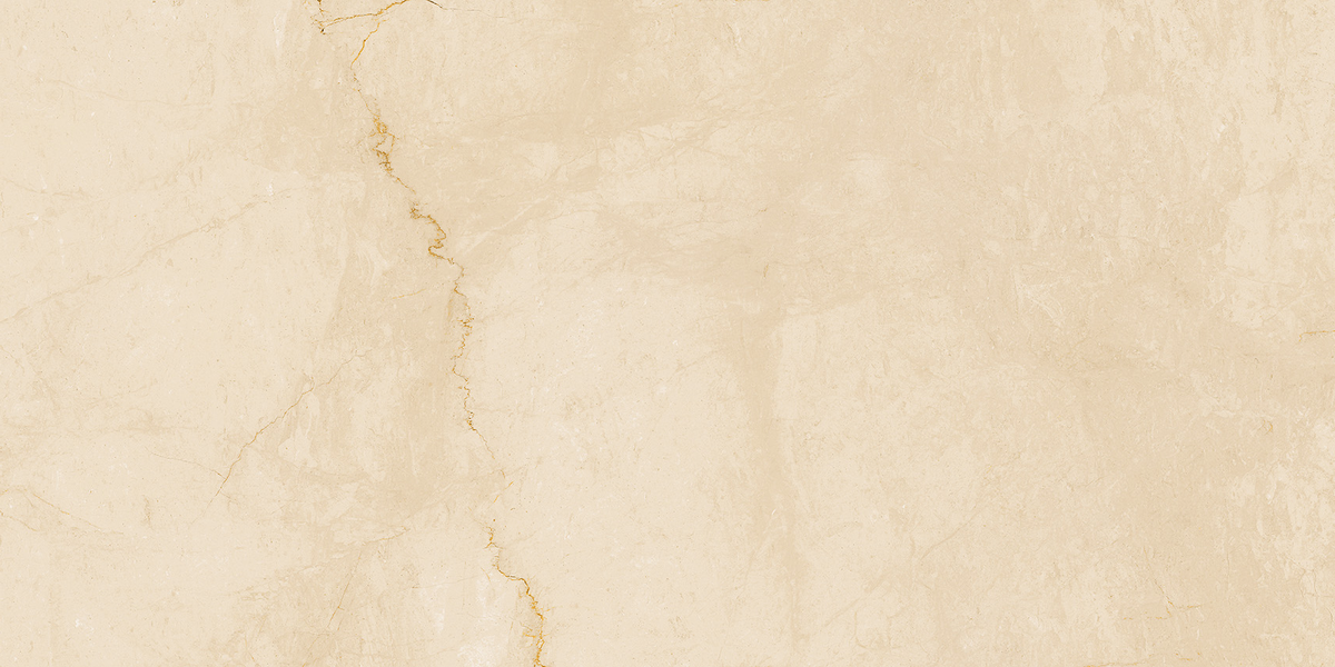 FAP Desert Dorato 60x120 Matt True Touch R9