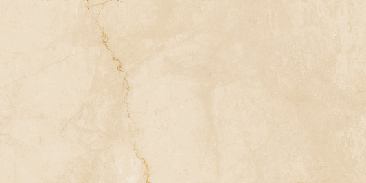 FAP Desert Dorato 60x120 Matt True Touch R9