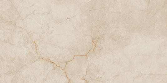 FAP Desert Tortora 60x120 Matt True Touch R9
