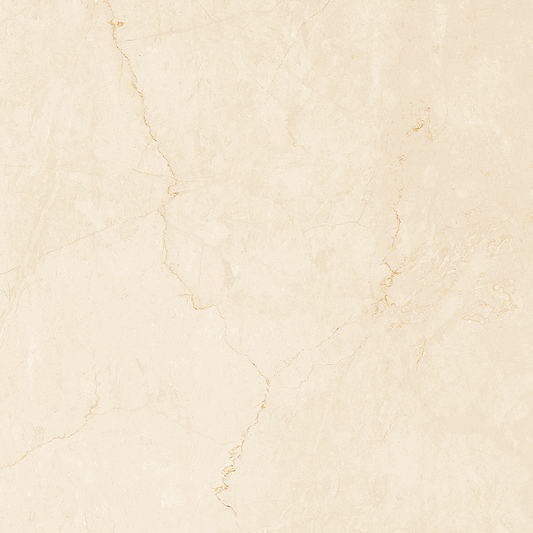 FAP Desert Beige 60x60 Matt True Touch R10