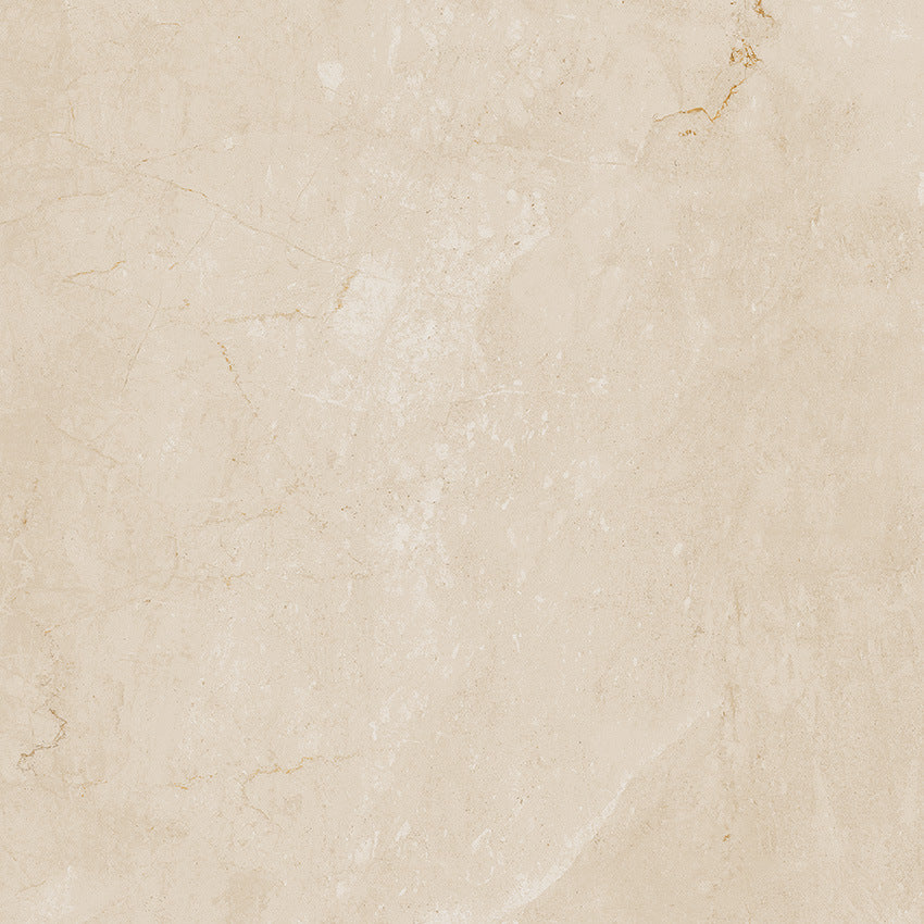 FAP Desert Tortora 60x60 Matt True Touch R10