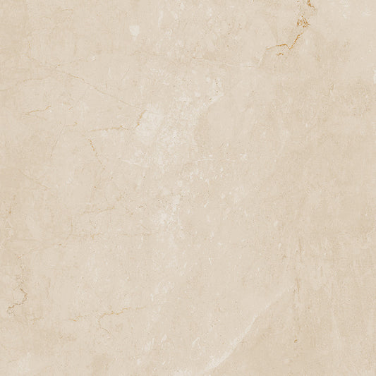 FAP Desert Tortora 60x60 Matt True Touch R10