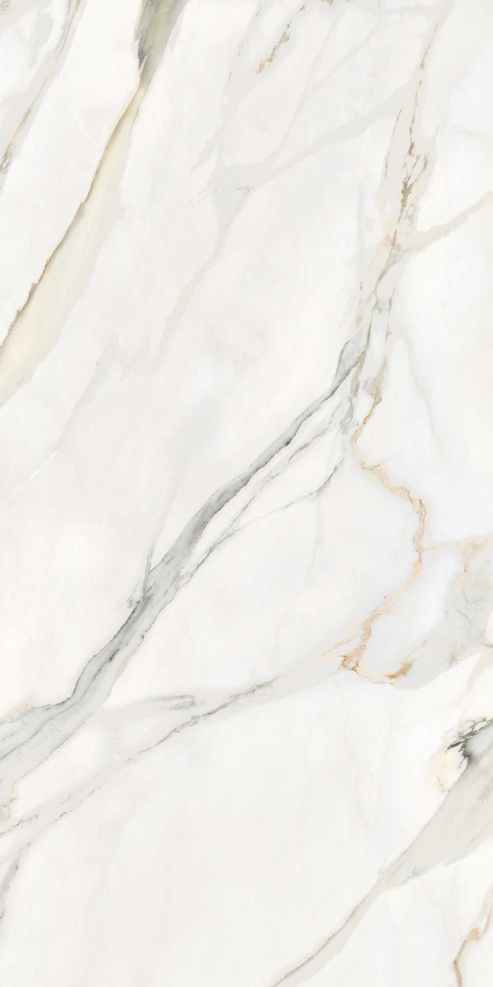 Gardenia&Ariana La Marmoteca Calacatta Elegance P-Tech Rettificato 8,5mm 60x120
