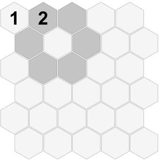 CESI Full Body 5x5 Esagono Fiore