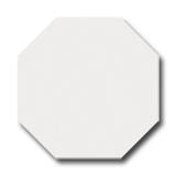 CESI Full Body Fluoro 10x10 Ottagono