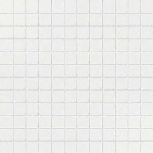 CESI Full Body Fluoro 2,5x2,5 Mosaico su Rete
