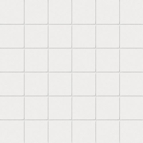 CESI Full Body Fluoro 5x5 Mosaico su Rete