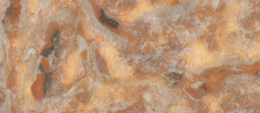 Fondovalle Infinito 2.0 STARLIT ALL-LIGHT POLISHED 120X278 — texture ufficiale