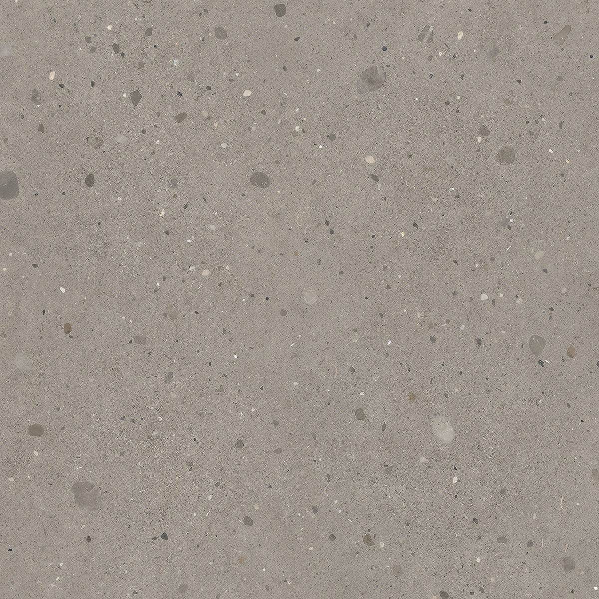 Fondovalle Keynote COOL GREY 120x120 — texture ufficiale