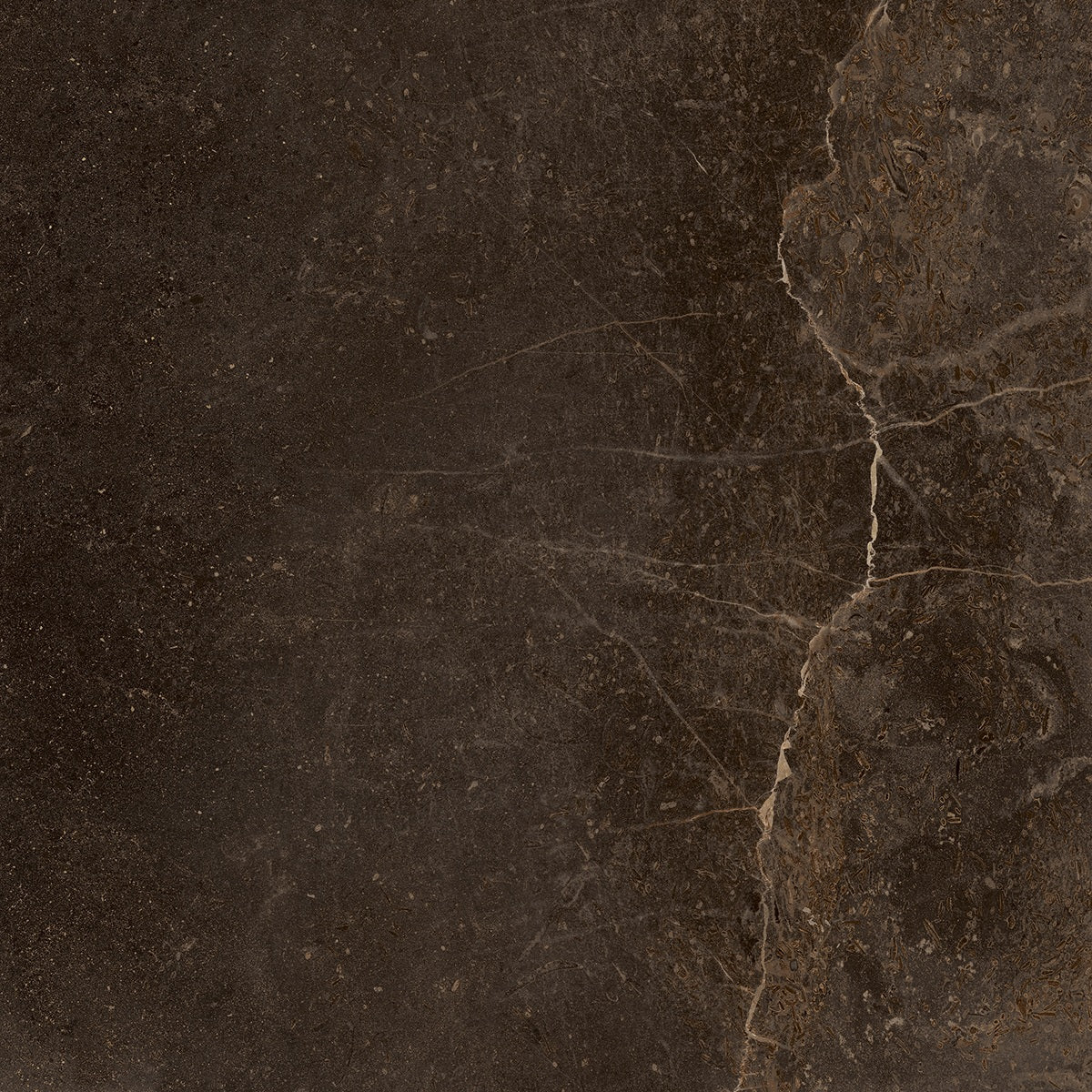 Fondovalle Planeto JUPITER 120X120 — texture ufficiale
