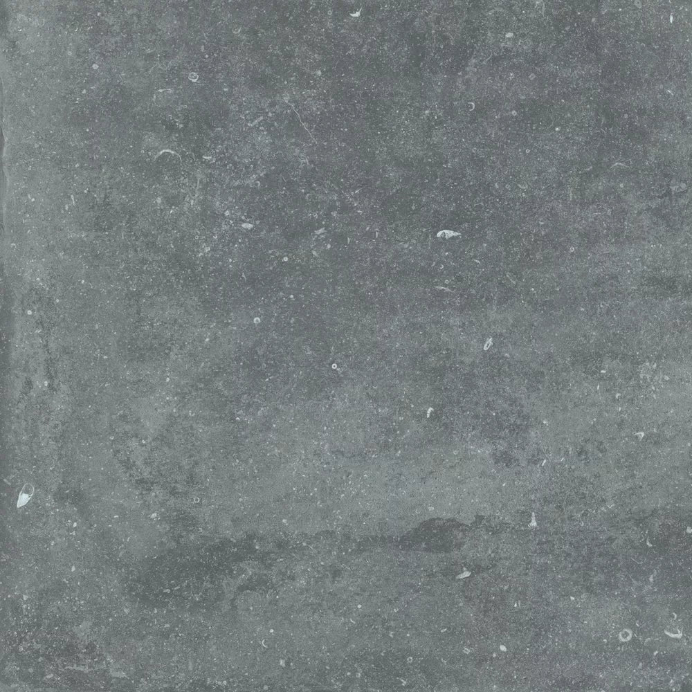 Gardenia&Ariana Plein Air Belgian Stone Grey R11 Rettificato 20mm 80x80