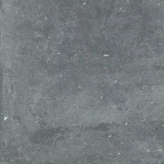 Gardenia&Ariana Plein Air Belgian Stone Grey R11 Rettificato 20mm 80x80