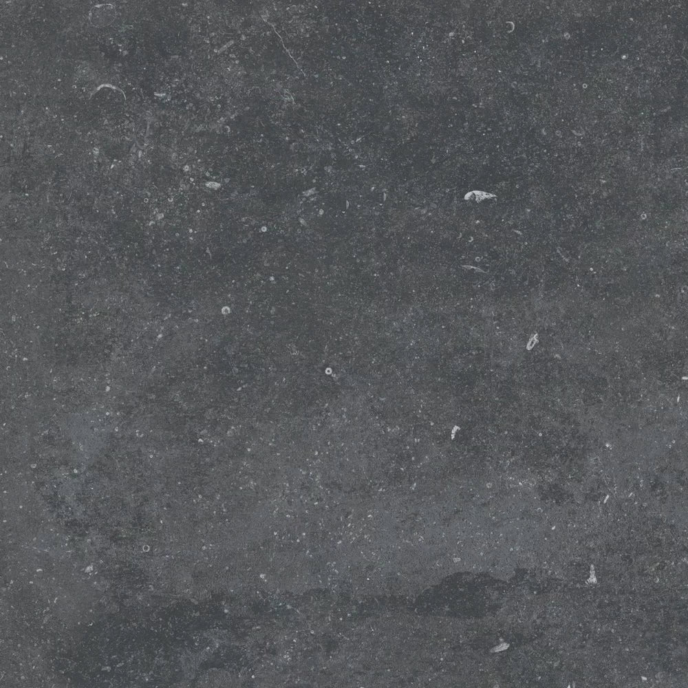 Gardenia&Ariana Plein Air Belgian Stone Black R11 Rettificato 20mm 60x60