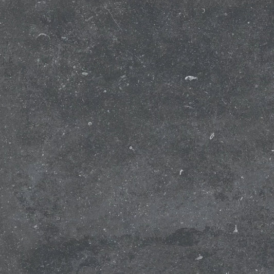 Gardenia&Ariana Plein Air Belgian Stone Black R11 Rettificato 20mm 60x60