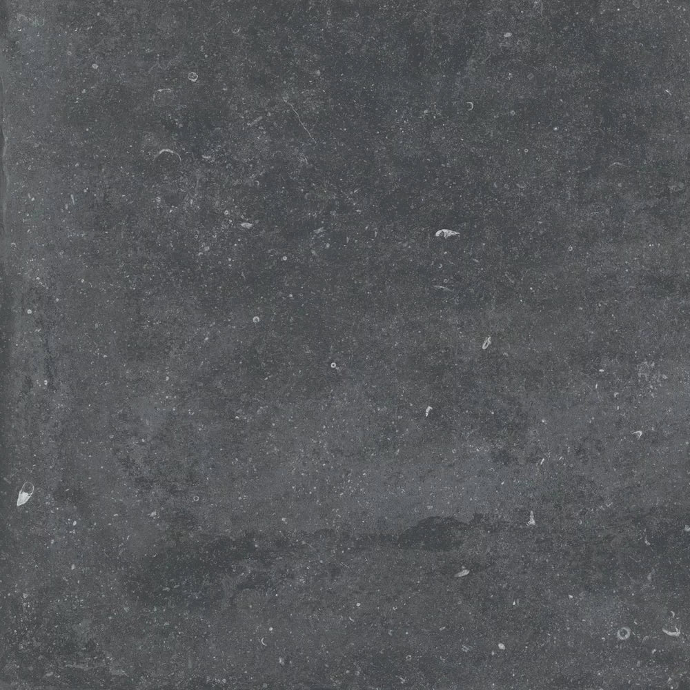 Gardenia&Ariana Plein Air Belgian Stone Black R11 Rettificato 20mm 80x80
