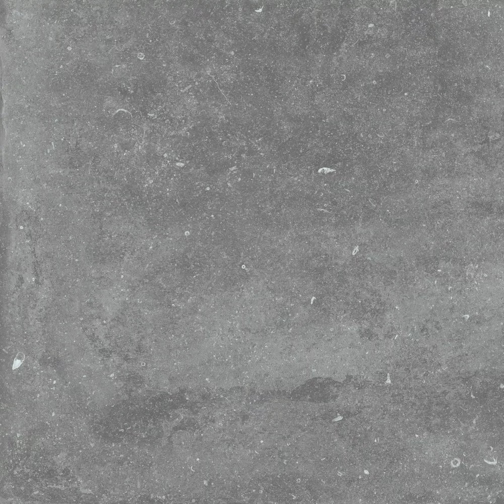 Gardenia&Ariana Plein Air Belgian Stone Grey R11 Rettificato 20mm 60x60