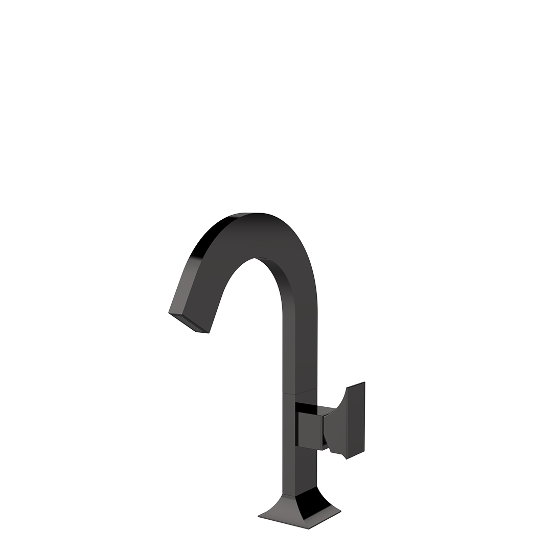 Geda RAJ1 - Carbon lucido PVD - codice RAJ1 CL