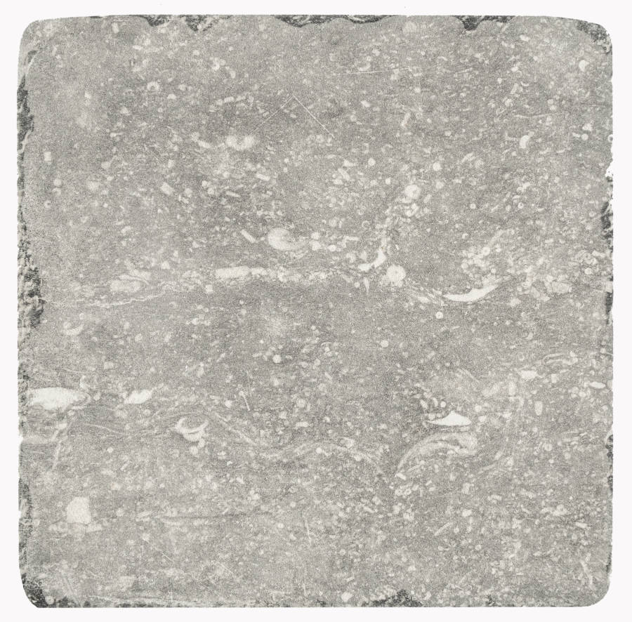 Carrière du Kronos Gent 20x20 SKE2.0 - Gres Porcellanato di Kronos Ceramiche - Prezzo solo €26.90! Compra ora su CEGO CERAMICHE