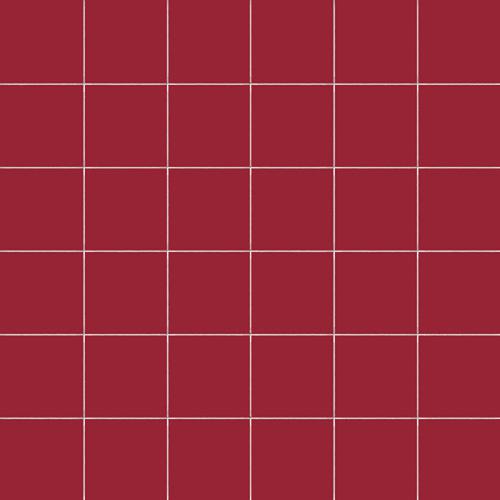 CESI Lucidi Granato 5x5 Mosaico su Rete