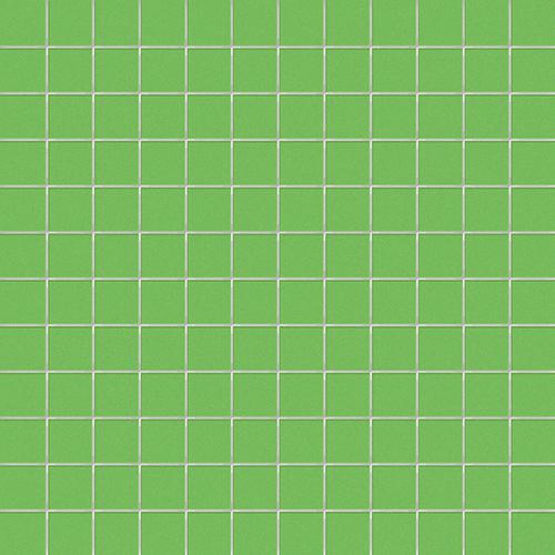 CESI Matt Kiwi 2,5x2,5 Mosaico su rete