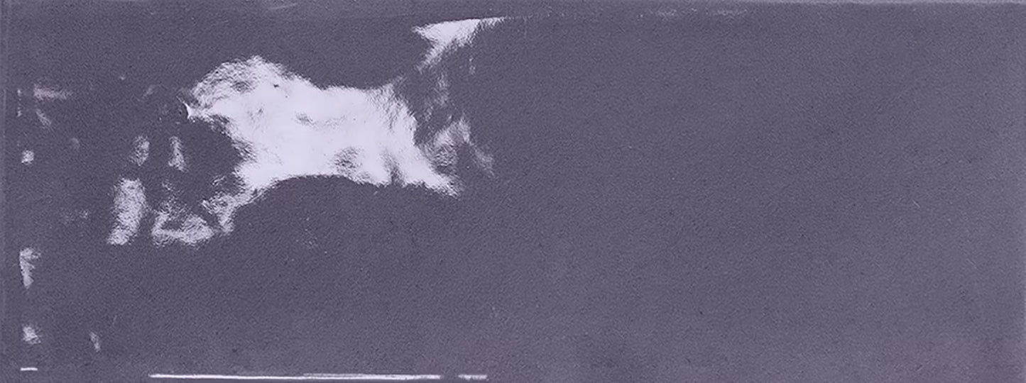 Ergon Abacus Bricklux Lavanda 7,5x20