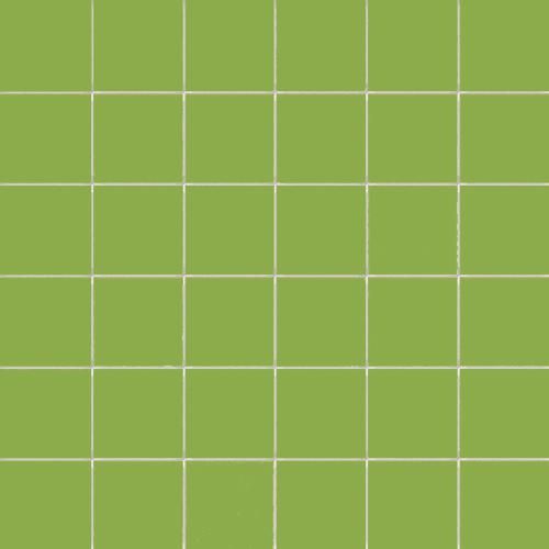 CESI Lucidi Lime 5x5 Mosaico su Rete