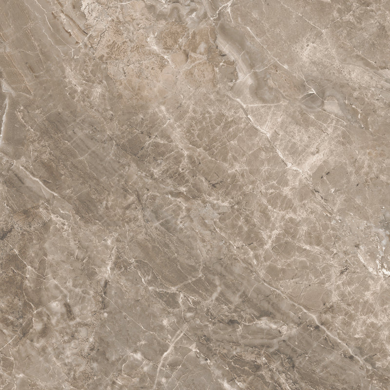 Versace Marble Grigio 58,5x58,5 Lux