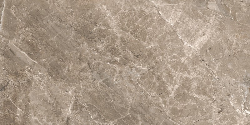 Versace Marble Grigio 58,5x117,5 Lux