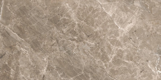 Versace Marble Grigio 58,5x117,5 Lux