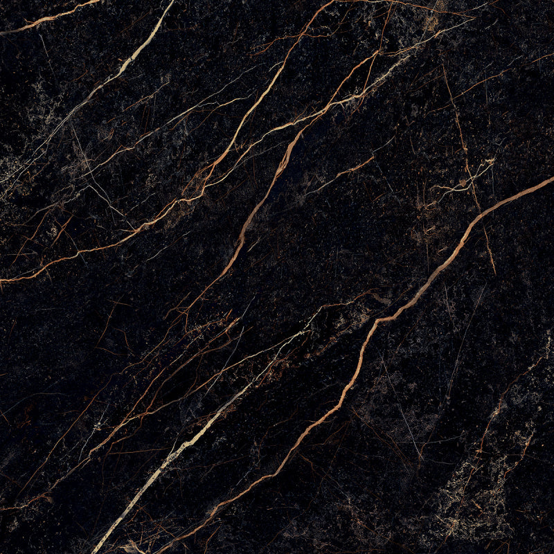 Versace Marble Nero 58,5x58,5 Lux