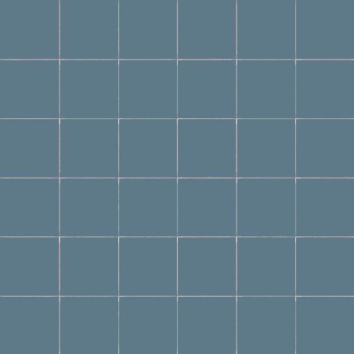 CESI Lucidi Navy 5x5 Mosaico su Rete