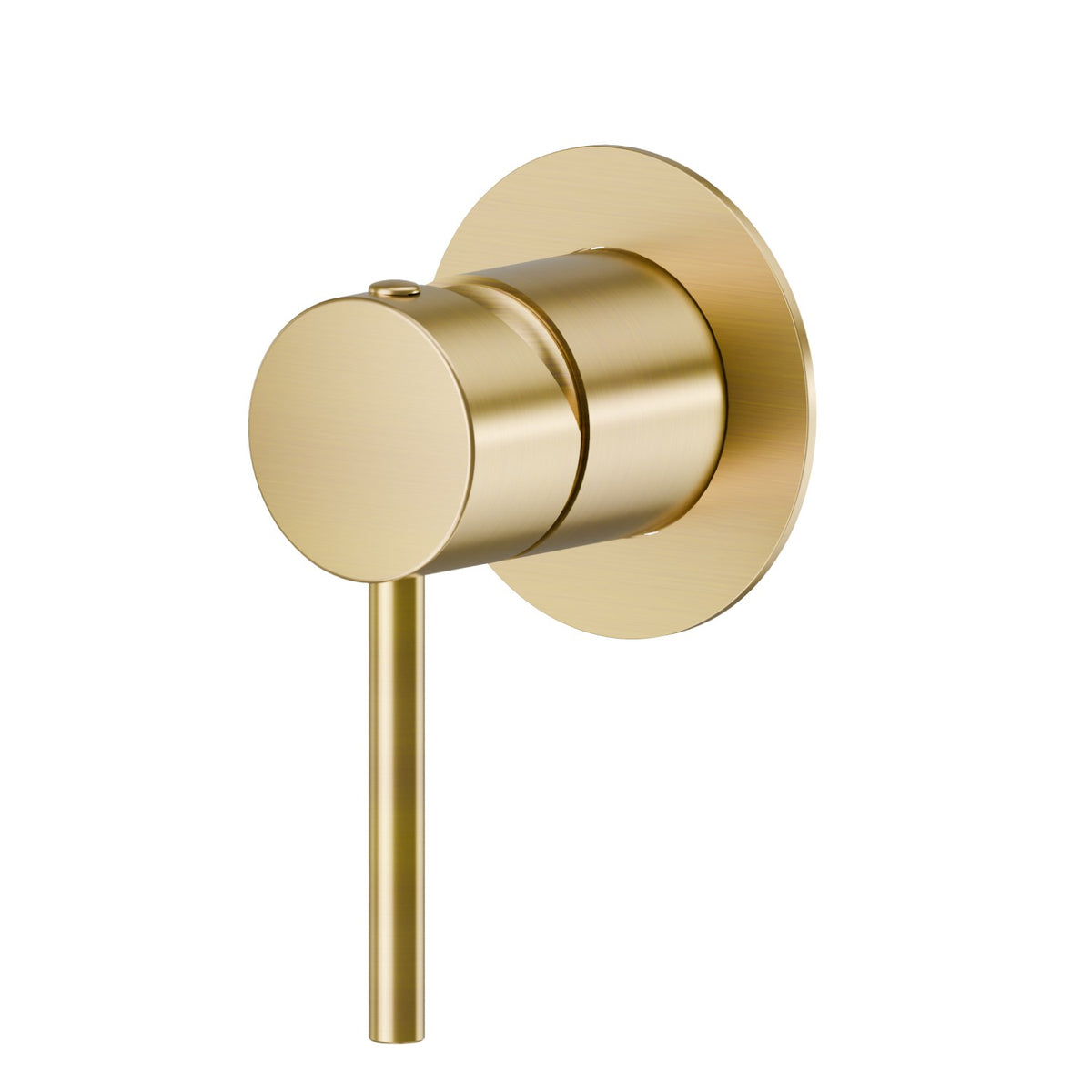 Newform 4265E - PVD brushed Gold - codice 4265E.59.097