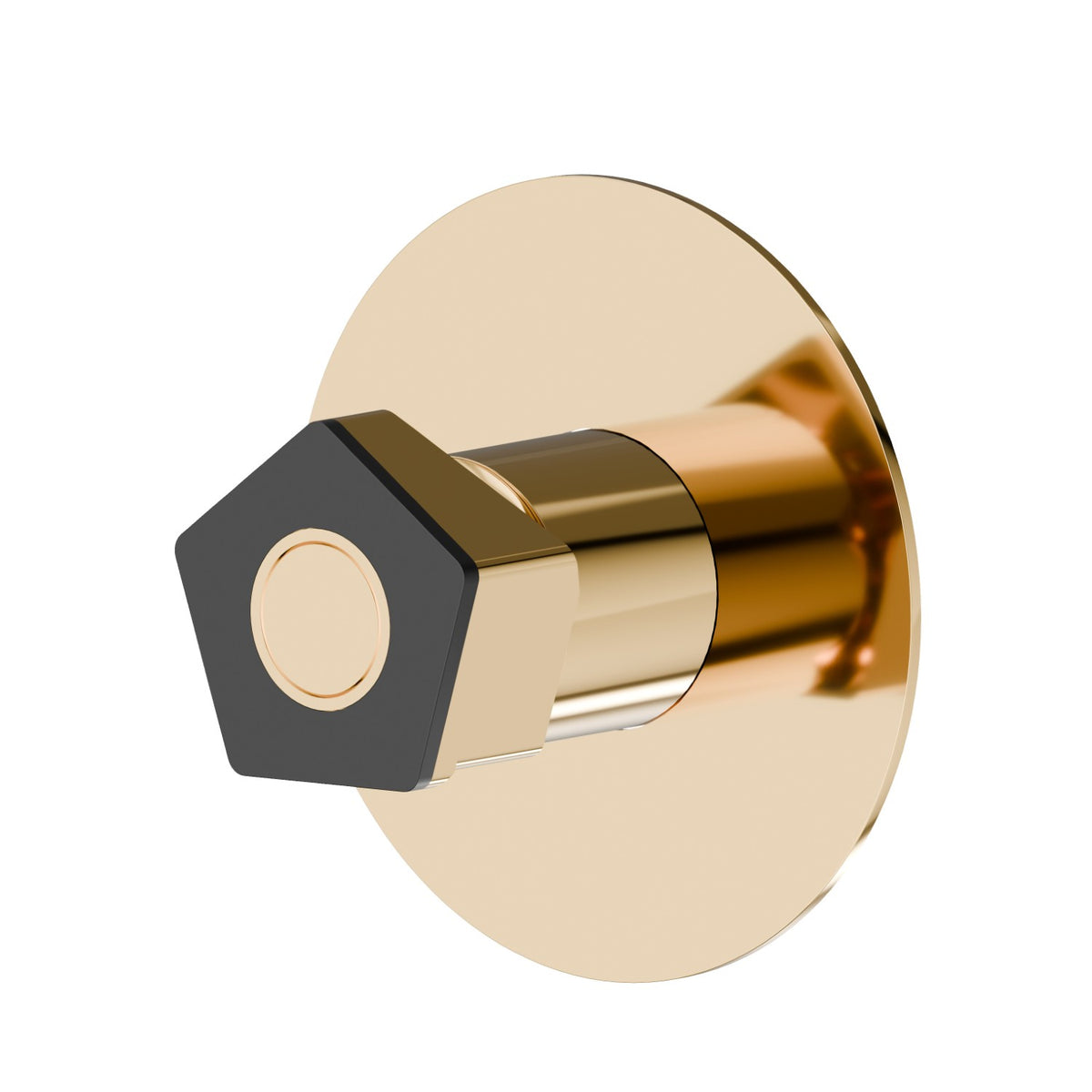 Newform 69775E - PVD Gold lucido + Nero opaco - codice 69775E.62.093