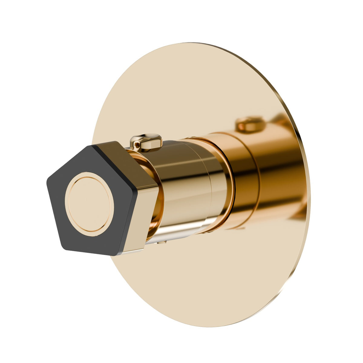 Newform 69807E - PVD Gold lucido + Nero opaco - codice 69807E.62.093