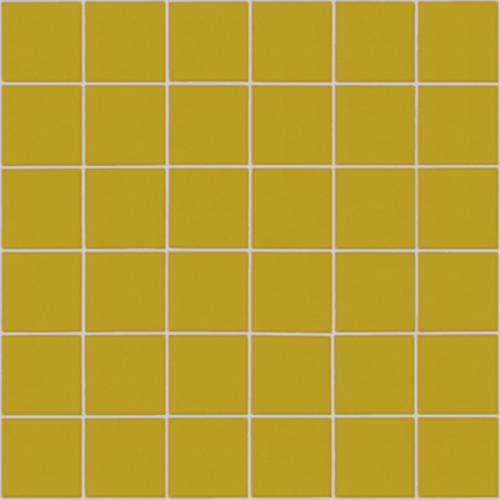 CESI Full Body Ottone 5x5 Mosaico su Rete