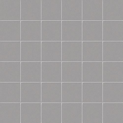 CESI Lucidi Piombo 5x5 Mosaico su Rete