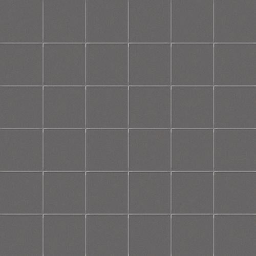 CESI Lucidi Pirite 5x5 Mosaico su Rete