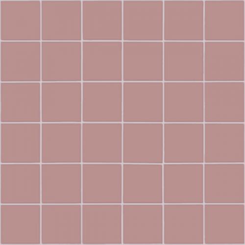 CESI Matt Pompelmo 5x5 Mosaico su rete