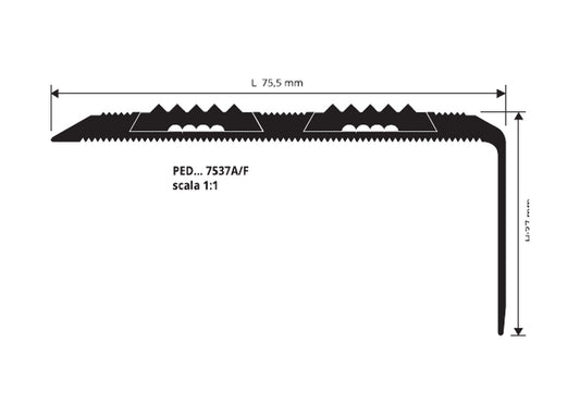Proend INS 75 - disegno tecnico 37 x 75,5 mm