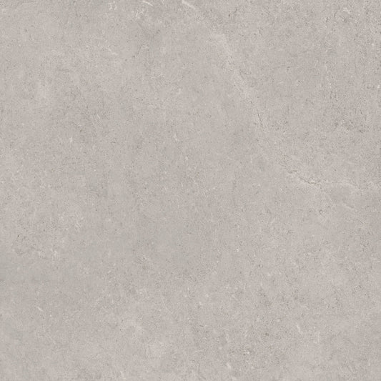 Ragno Creek Grigio 60x60 Rt